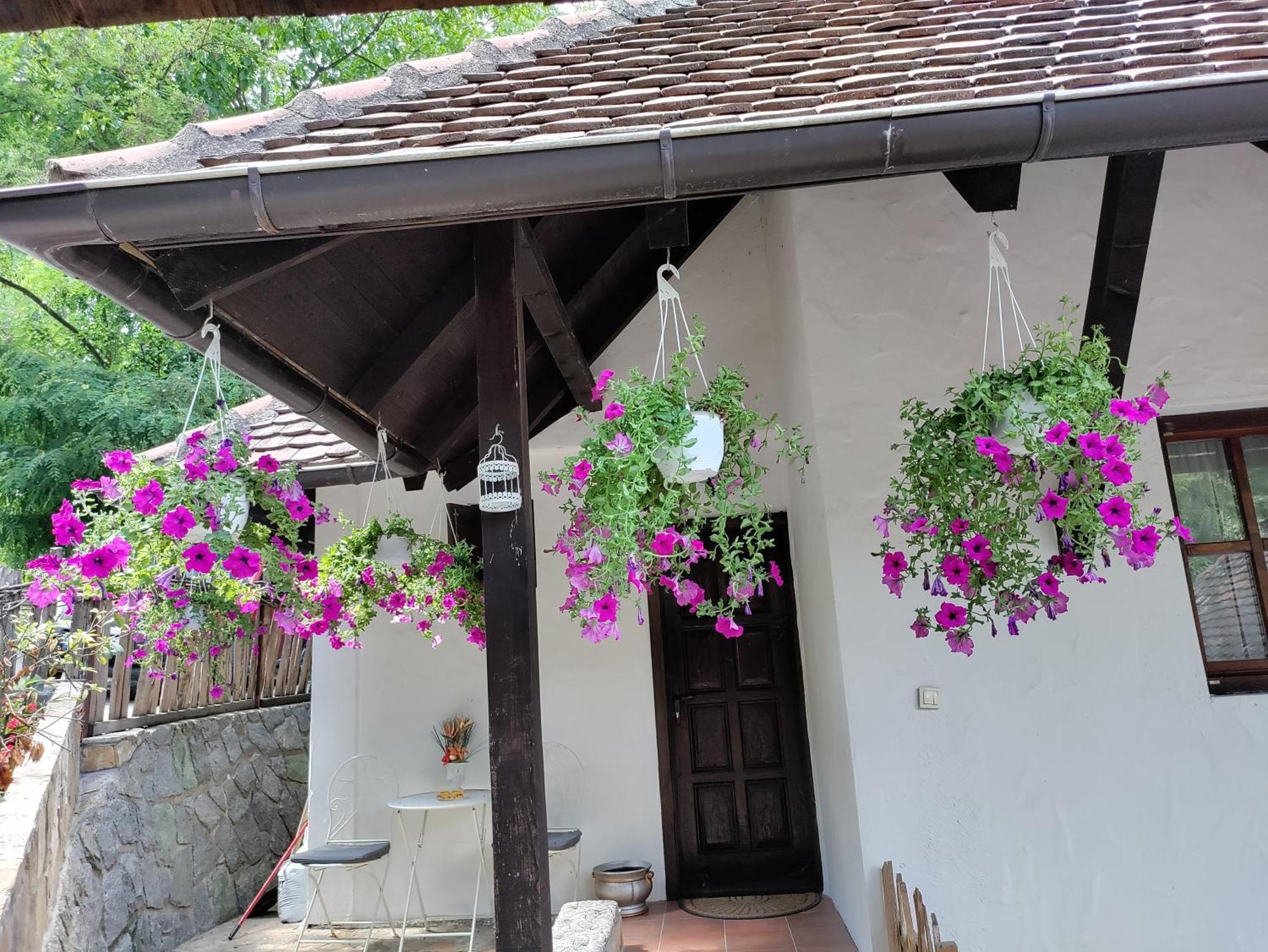 Aparthotel Konak Lecic Trsic Exteriér fotografie