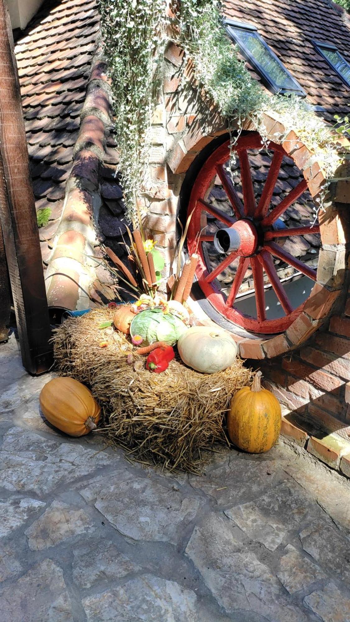 Aparthotel Konak Lecic Trsic Exteriér fotografie