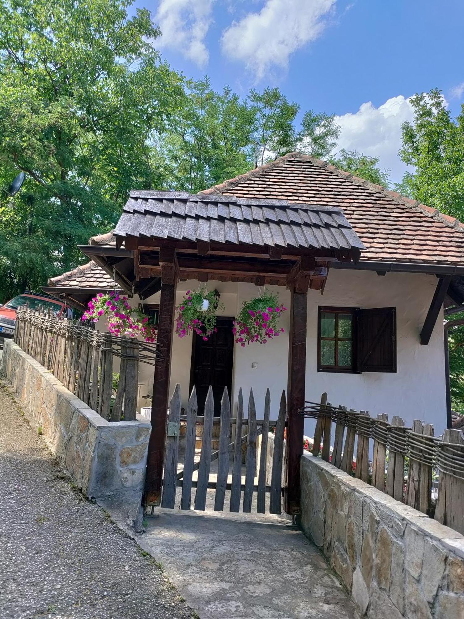 Aparthotel Konak Lecic Trsic Exteriér fotografie